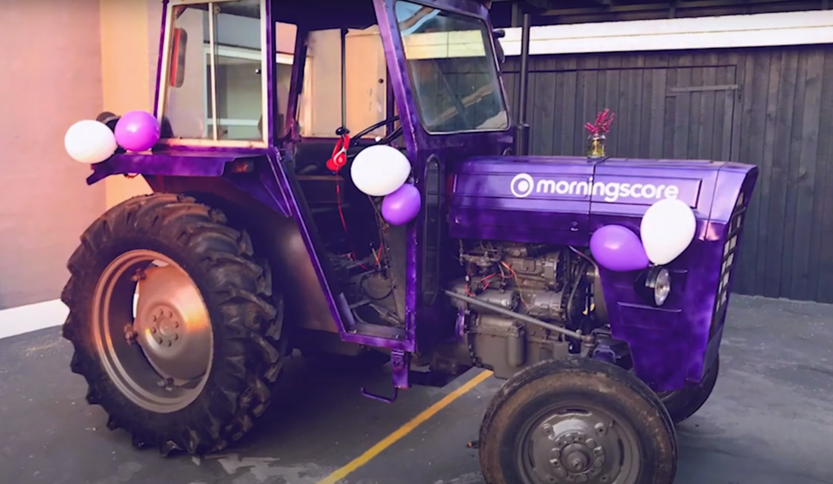 Morningscore purple tractor decorated with white and purple balloons.